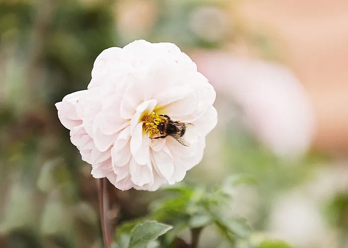 Мини-отель Hummel Duggendorf